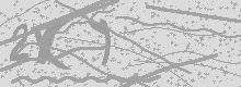 Изображение Captcha