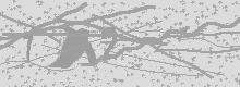 Изображение Captcha