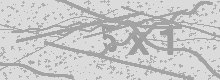 Изображение Captcha