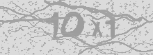 Изображение Captcha