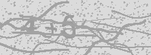 Изображение Captcha